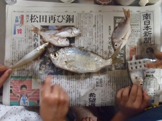 高級魚